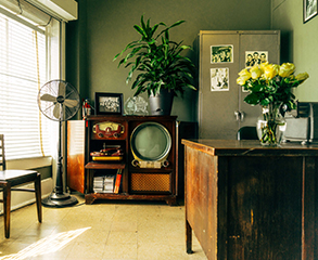 A vintage office with bright green colored walls, vintage wood furniture, a large plant and a vase with white roses.